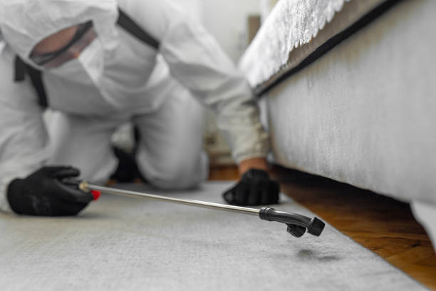 Professional Bed Bug Control technician working in Tuskegee, AL